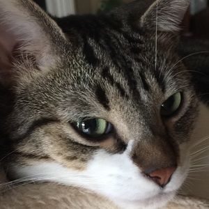 Meet your Posher, Rebecca k